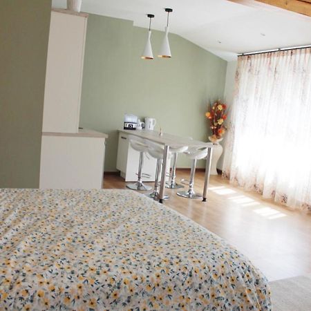 Saint Etienne : Appartement Chateaucreux 40 M2 Exteriér fotografie