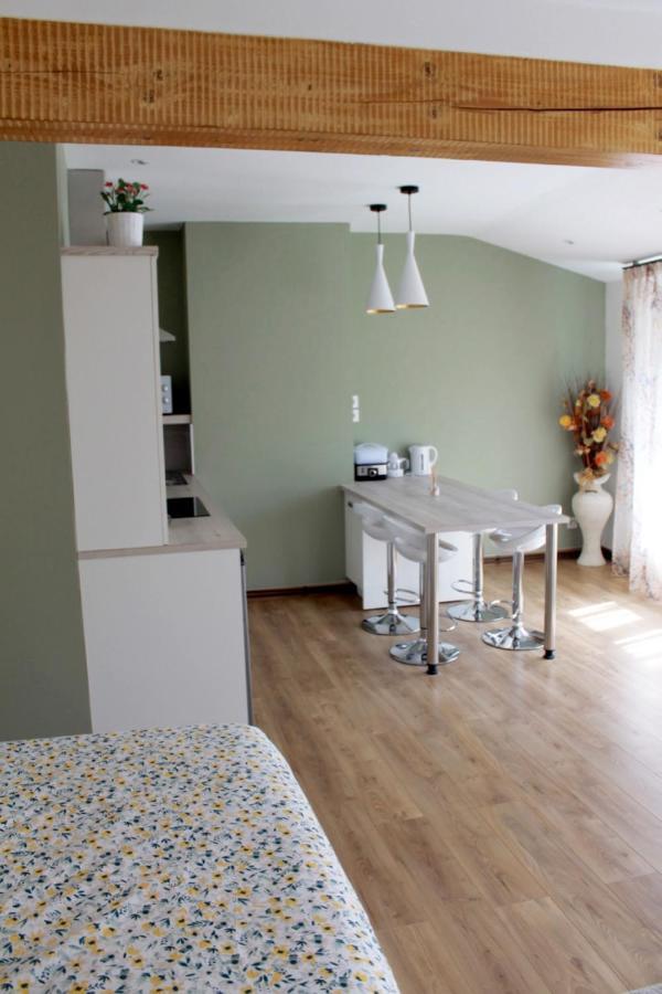 Saint Etienne : Appartement Chateaucreux 40 M2 Exteriér fotografie
