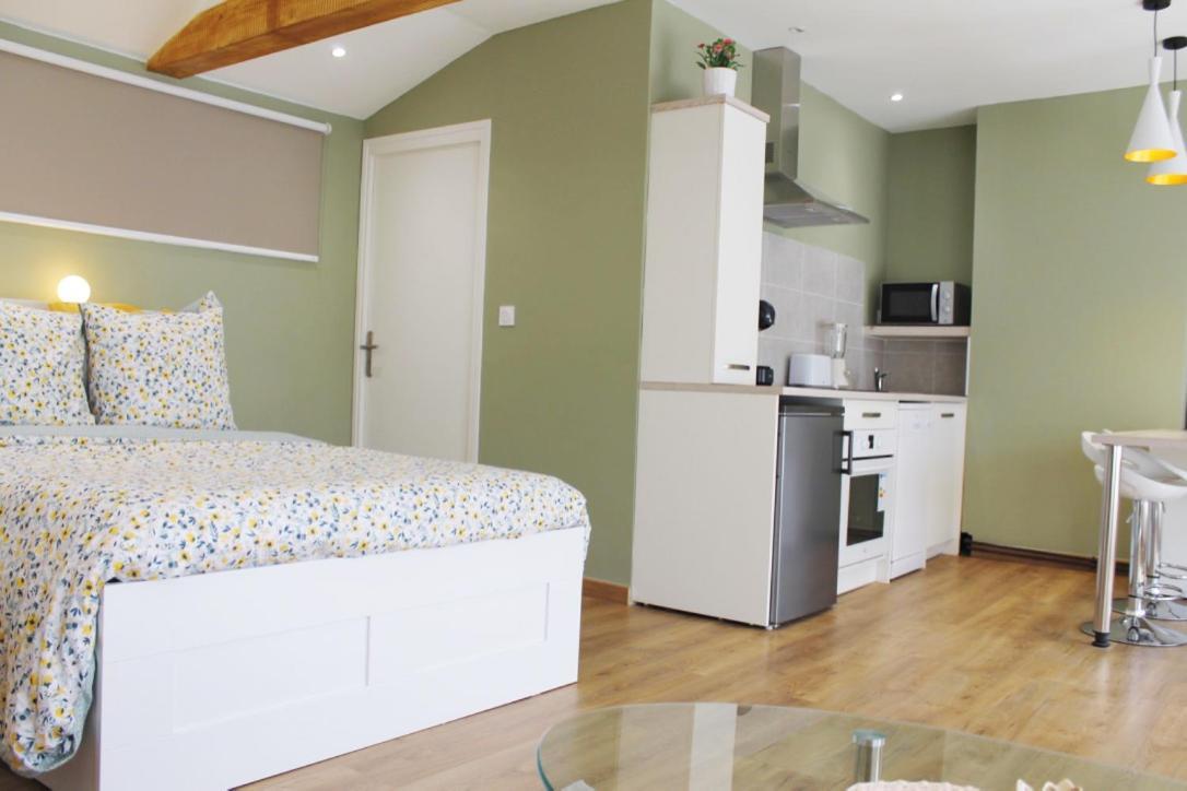 Saint Etienne : Appartement Chateaucreux 40 M2 Exteriér fotografie