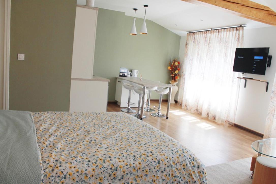 Saint Etienne : Appartement Chateaucreux 40 M2 Exteriér fotografie