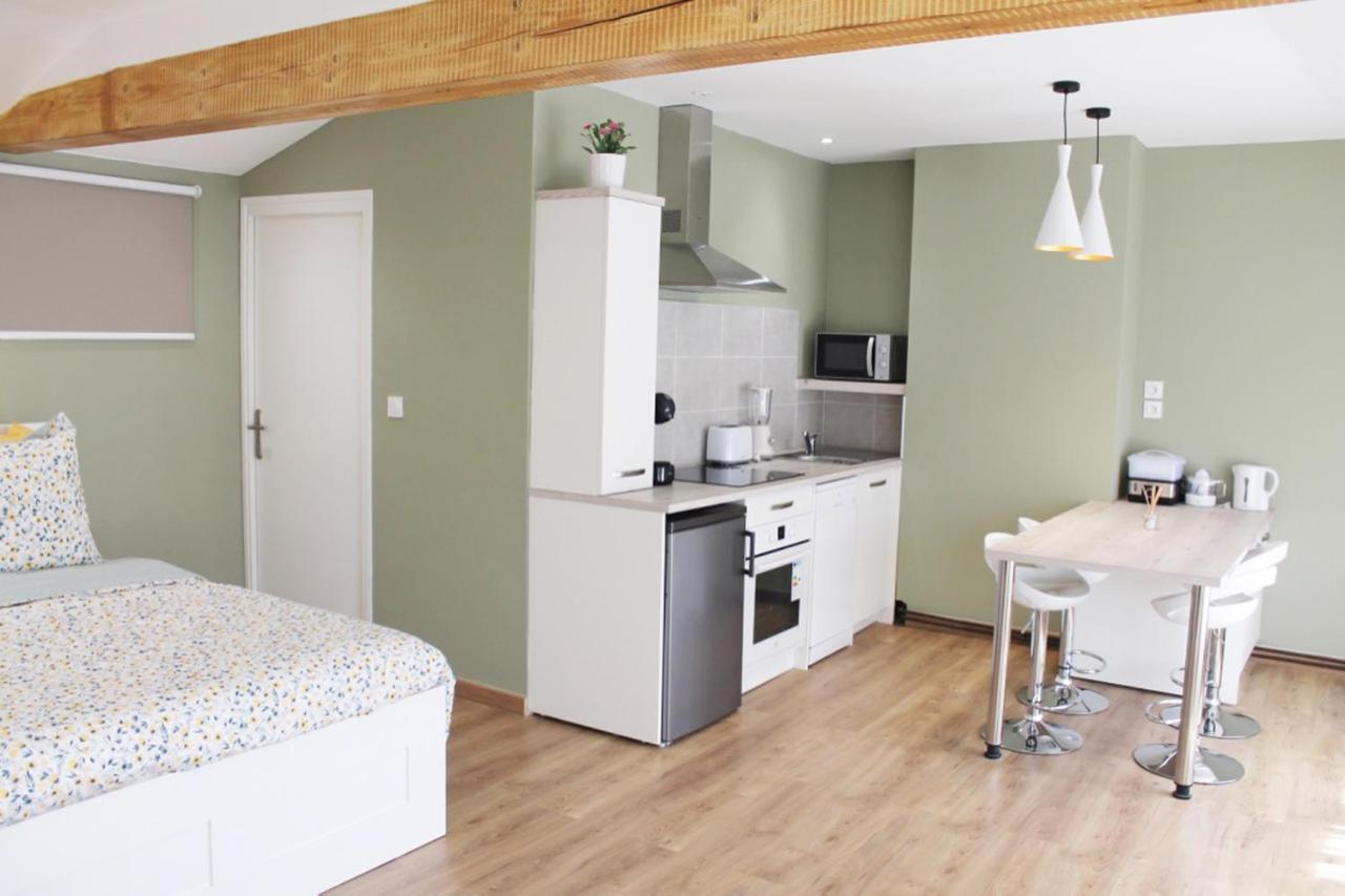 Saint Etienne : Appartement Chateaucreux 40 M2 Exteriér fotografie