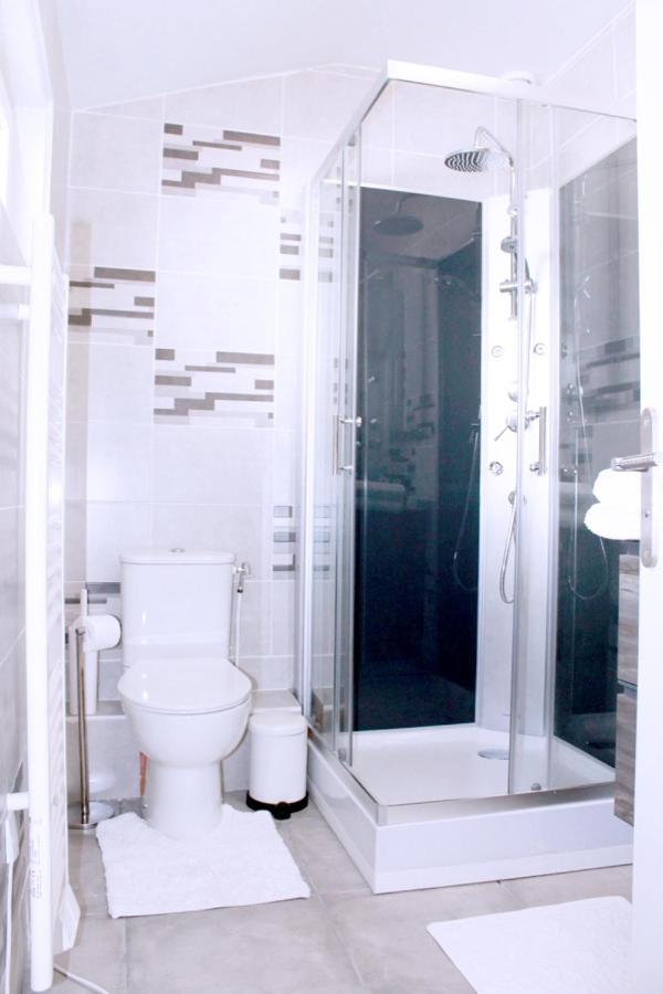 Saint Etienne : Appartement Chateaucreux 40 M2 Exteriér fotografie